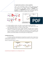 Las Proteínas