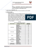 RESUMEN EJECUTIVO Ok PDF