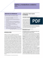 Capitulo 9 Bioenergetica y Metabolismo Oxidativo-Bioquimica Medica - Baynes - 4ta Edición-111-127