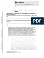 2015 Lysosomal Cellular Clearance Etc