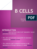 B CELLS Seminar