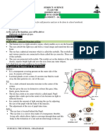 S - 8 - CH 16 - Ho 16.3 - Light