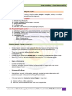 AB-M02-CH2.3-LIVER PATH-Focal Abnormalities