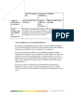 Copia de Copia de Rubrica y Estructura para Realización de Informe Final