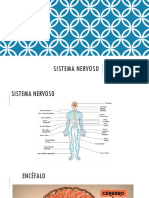 AULA 02 - Fisiologia - Sistema Nervoso