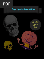 1 Les Os Du Crâne PDF