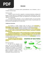 Bacterias