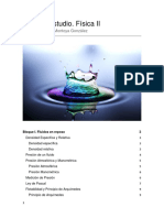 Fisica Ii 1