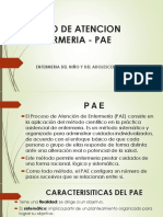 Proceso de Atencion de Enfermeria - Pae