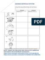 Feedback Mechanism in Nervous System