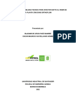 PROYECTO ESTUDIO DE LA FACTIBILIDAD TECNICA PARA INYECTAR NAFTA AL RISER DE LA PLANTA CRACKING ORTHOFLOW (06-08-2022) Actualización Resultados A Recomendaciones