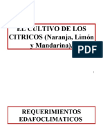 Establecimiento de Plantaciones de Citricos