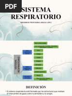 Sistema Respiratorio y Terapia Respirat