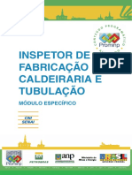 IF - CT - Módulo Específico PDF