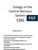 Pathology of The Central Nervous System