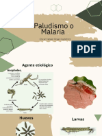 Paludismo o Malaria