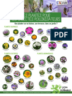 Fiche Peda Plantes Pollinisateurs PDF