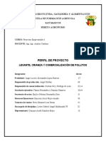 REVISADO PROYECTOS Chompipollos Original