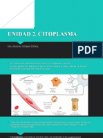 Unidad 2 Citoplasma