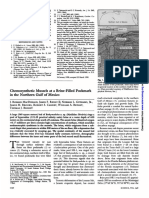 (1990) - MacDonald - Chemosynthetic Pockmark