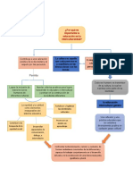 Esquema Grafico