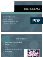 Treponema