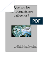 Microorganismos Patógenos