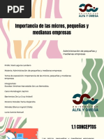 Importancia de Las Micros, Pequeñas y Medianas Empresas PDF