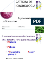 2 Papillomavirus