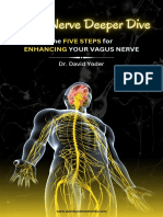 Vagus Nerve Deep Dive