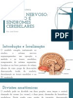 Cerebelo e Síndromes Cerebelares