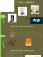 Artículo Científico Cordyceps Sinensis