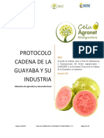 23 Act Protocolo Cadena Guayaba V 5 0 - 20 Dic