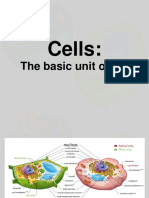 Biology Cells PDF