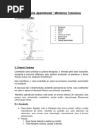 Apostila - Osteologia Apendicular de Membro Torácico