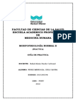 Guia Parte 3 y 4 Unidad Morfofisiolgia Ii (Perez Mendoza, Cielo Kayra)