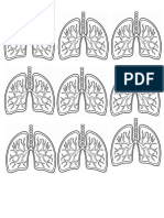 Dibujo Los Pulmones