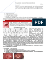 12.03 - Juliana - Lesões Precursoras Do Câncer de Colo Uterino