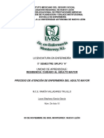 Pia Pae Final Geriatria PDF