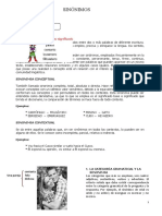 Razonamiento Verbal - Solo Sinónimos - Ciclo Enero - Febrero 2023 - Barreto