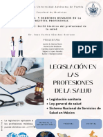 Perfil Bioético Del Profesional de La Salud Un Derecho A Ejercer La Medicina Con Dignidad Analisis Bioético y Legislativo Inerno e Internacional PDF