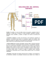 Partes Del SN