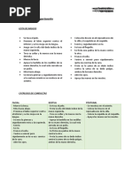 Practica 1 - Categorización