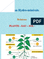 Nutrition Hydro-Minérale.: Plante - Eau - Sol