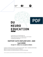 Rapport Autoreflexif Cyril DENIS C1