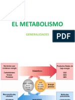 Vias Metabolicas Degradativas