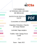 Universidad Autónoma Del Estado de Hidalgo