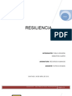 Informe de Resiliencia - I