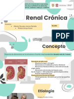 Falla Renal Crónica