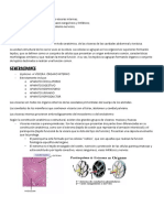 T-1. Introducción PDF